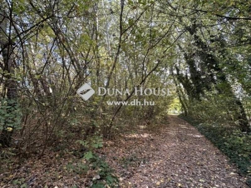 Eladó üdülőövezeti telek Dömsöd