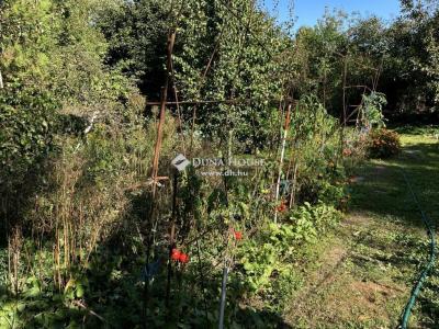 Eladó külterületi telek Budapest