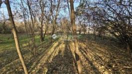 Eladó lakóövezeti telek Tóalmás