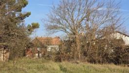 Eladó lakóövezeti telek Tóalmás