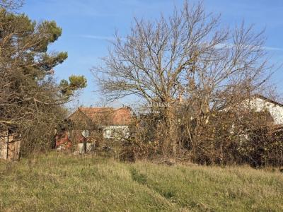 Eladó lakóövezeti telek Tóalmás