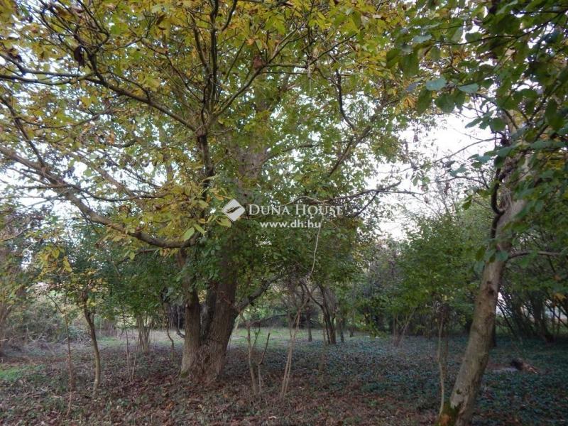 Eladó lakóövezeti telek Bálványos