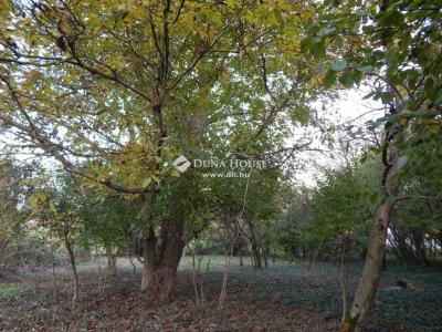 Eladó lakóövezeti telek Bálványos