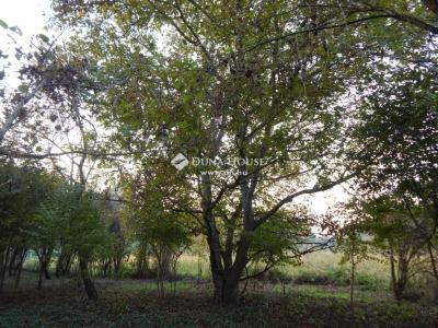 Eladó lakóövezeti telek Bálványos