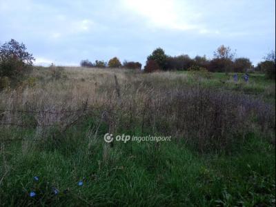 Eladó külterületi telek Kaposvár