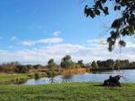 Eladó egyéb telek Balatongyörök