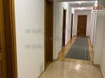 Eladó családi ház Budakeszi