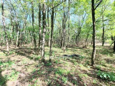 Eladó családi ház Kecskemét