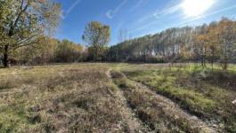 Eladó lakóövezeti telek Monor