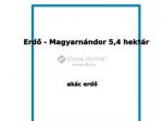 Eladó erdő Magyarnándor