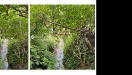 Eladó családi ház Pécs