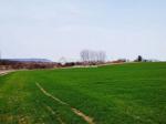 Eladó általános mezőgazdasági ingatlan Balatonkeresztúr