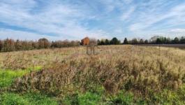 Eladó lakóövezeti telek Balatonvilágos