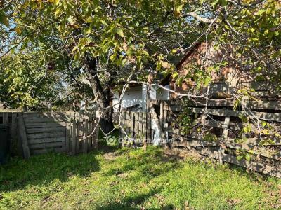 Eladó nyaraló Dömsöd