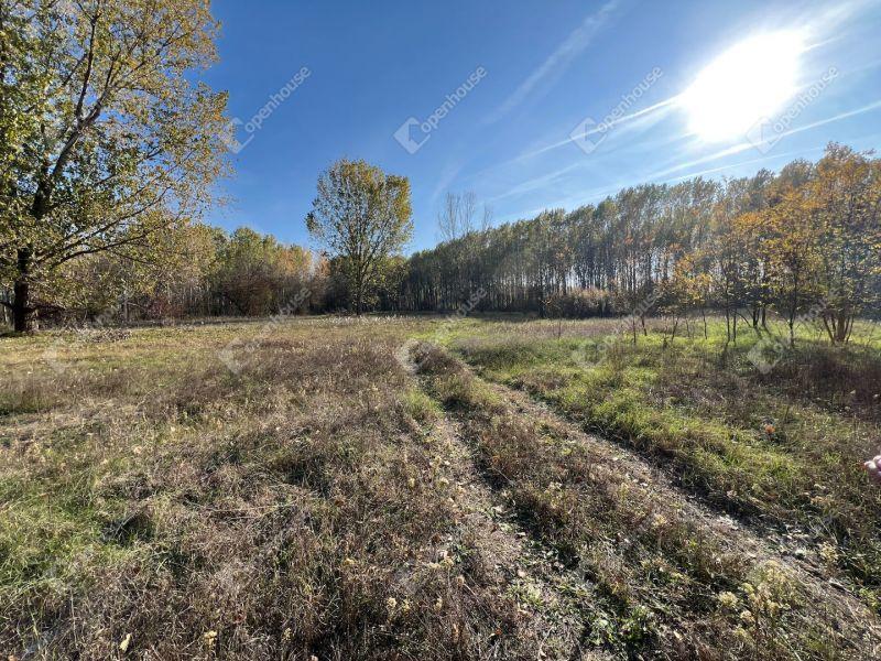 Eladó nyaraló Monor