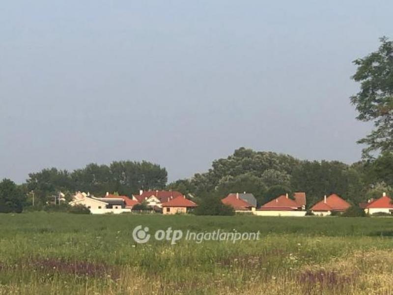 Eladó lakóövezeti telek Gyula
