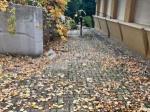 Kiadó lakás Pécs