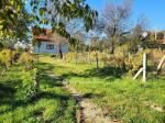 Eladó családi ház Balatonalmádi
