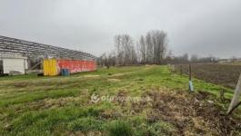 Eladó külterületi telek Ásványráró