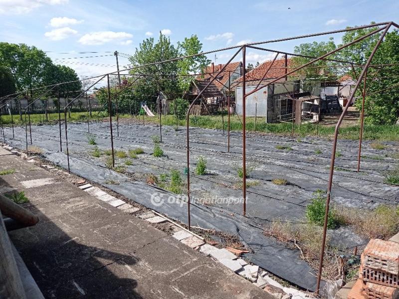 Eladó lakóövezeti telek Gyula