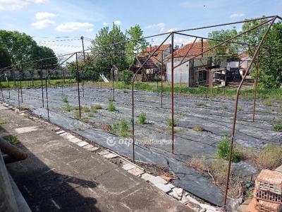 Eladó lakóövezeti telek Gyula