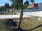 Kiadó lakóövezeti telek Békéscsaba