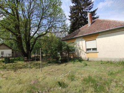 Eladó tanya Jászberény