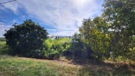 Eladó családi ház Budapest