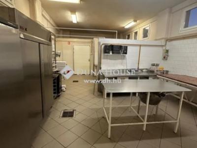 Eladó kastély Pécs