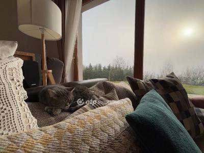 Eladó családi ház Piliscsaba