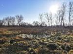 Eladó lakóövezeti telek Csorna