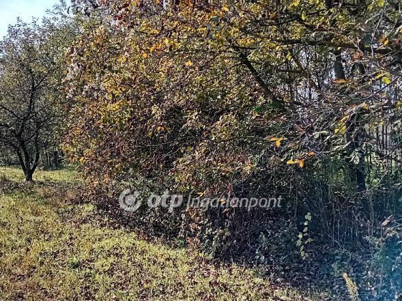 Eladó külterületi telek Kaposvár