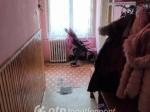 Eladó családi ház Salgótarján