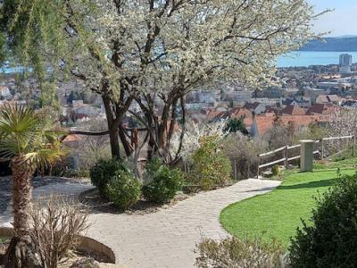 Eladó külterületi telek Balatonfüred