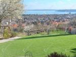 Eladó külterületi telek Balatonfüred
