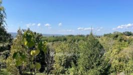 Eladó egyéb telek Zalaegerszeg