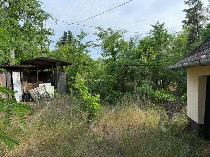 Eladó külterületi telek Tápiószőlős