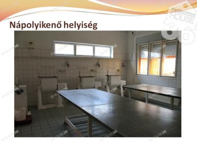 Eladó műhely Lajosmizse