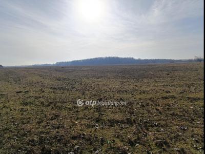 Eladó általános mezőgazdasági ingatlan Bácsalmás