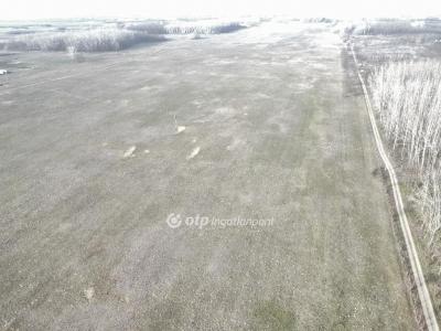 Eladó általános mezőgazdasági ingatlan Bácsalmás