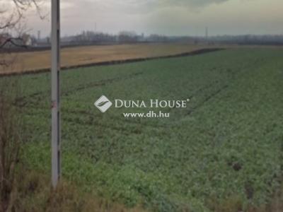 Eladó lakóövezeti telek Sárszentágota