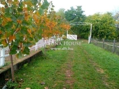 Eladó tanya Kerepes