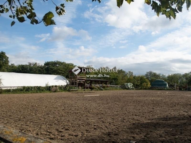 Eladó tanya Kerepes