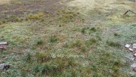 Eladó külterületi telek Csongrád