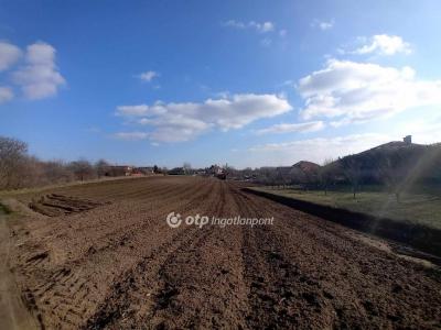 Eladó lakóövezeti telek Dány