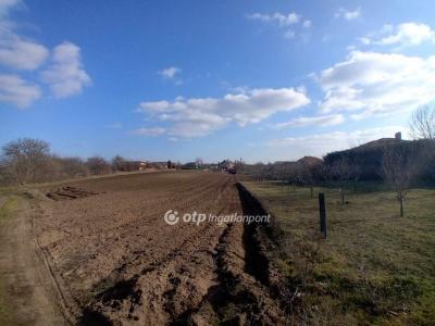 Eladó lakóövezeti telek Dány