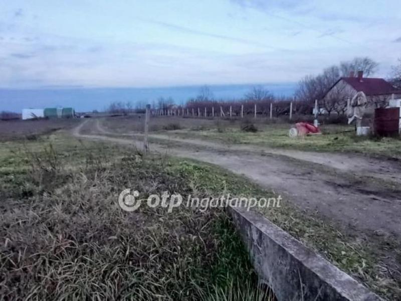 Eladó külterületi telek Pusztaszer