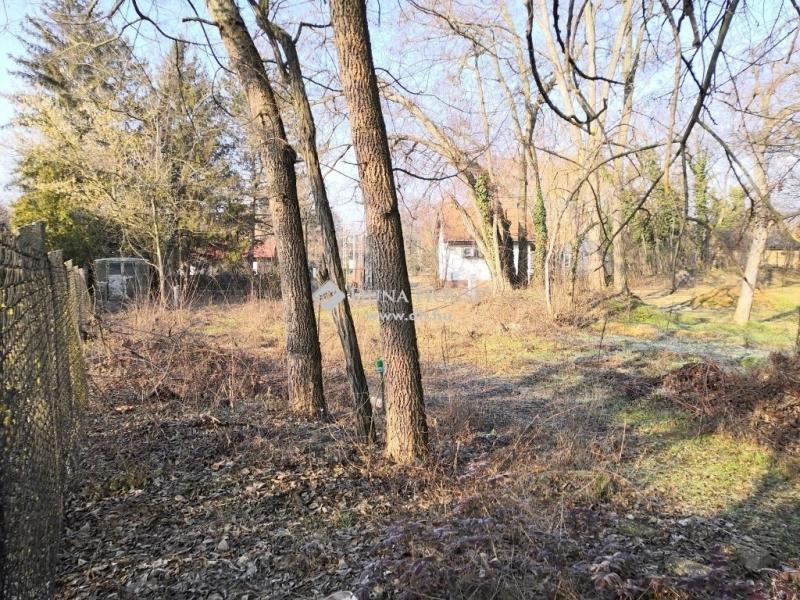 Eladó lakóövezeti telek Szigetmonostor