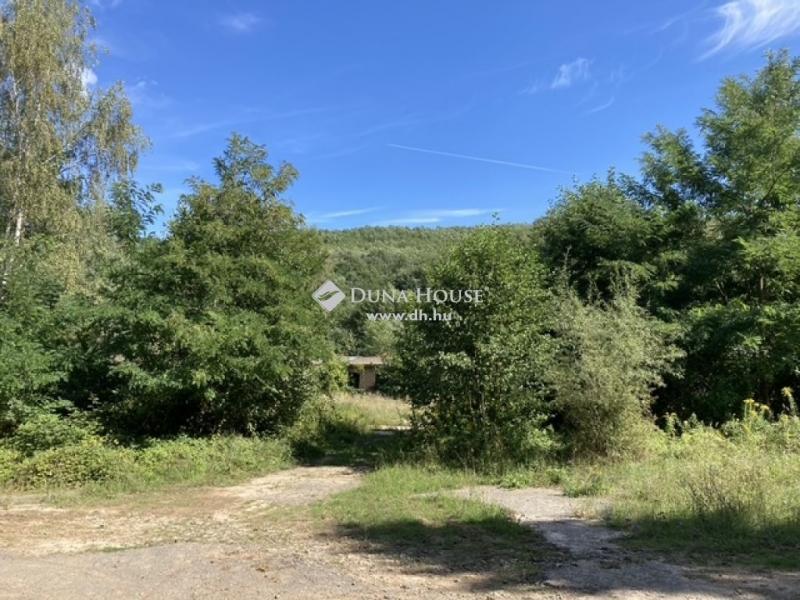 Eladó külterületi telek Dorogháza