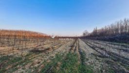 Eladó külterületi telek Monor